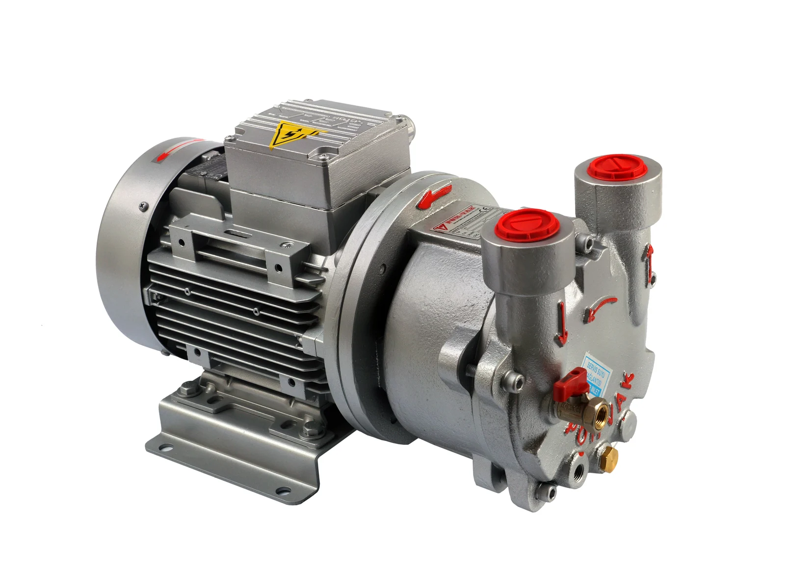 KRS-P1007 Monoblok Sıvı Halkalı Vakum Pompası · 70–110 m³/h · P1007